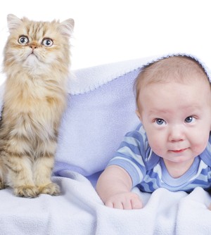 האם חתולים מסוכנים לתינוקות?